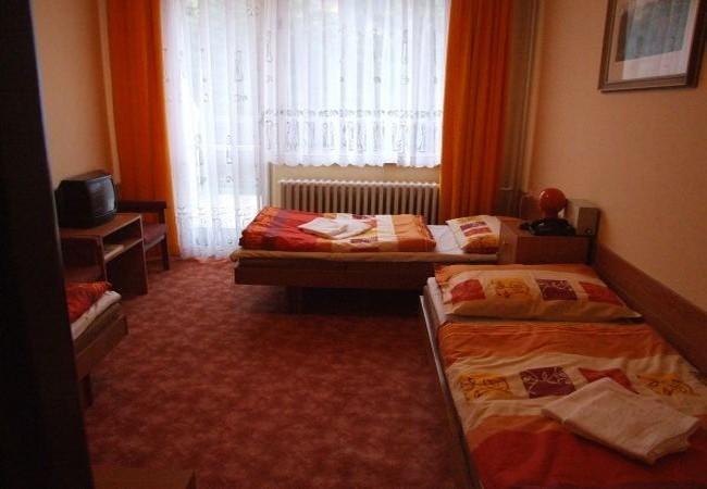 Hotel Petr Bezruc Frýdlant nad Ostravicí Cameră foto